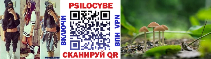 Псилоцибиновые грибы MAGIC MUSHROOMS  блэк спрут   Бирюсинск  купить наркоту 